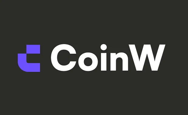 Overview of Coinw Login Interface